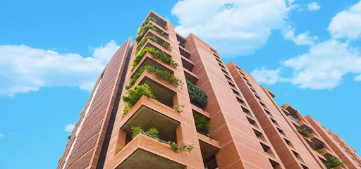 The Magic Faraway Tree by Total Environment-  Bengaluru