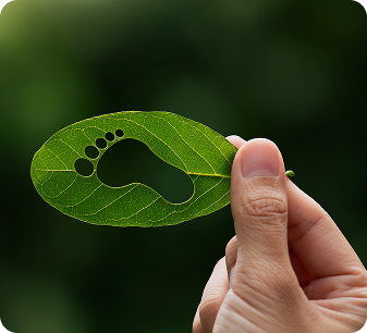 Certified Green Technology