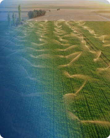 Bringing Water into Your Home